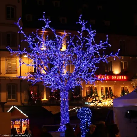 Belle Vue Lejlighed Strasbourg