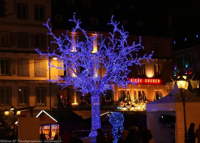 Belle Vue דירה שטרסבורג