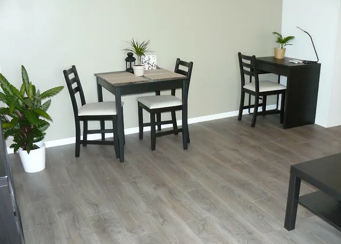 公寓 Belle Vue 斯特拉斯堡